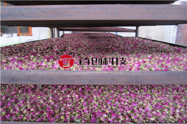 Rose Net Belt Drying Machine