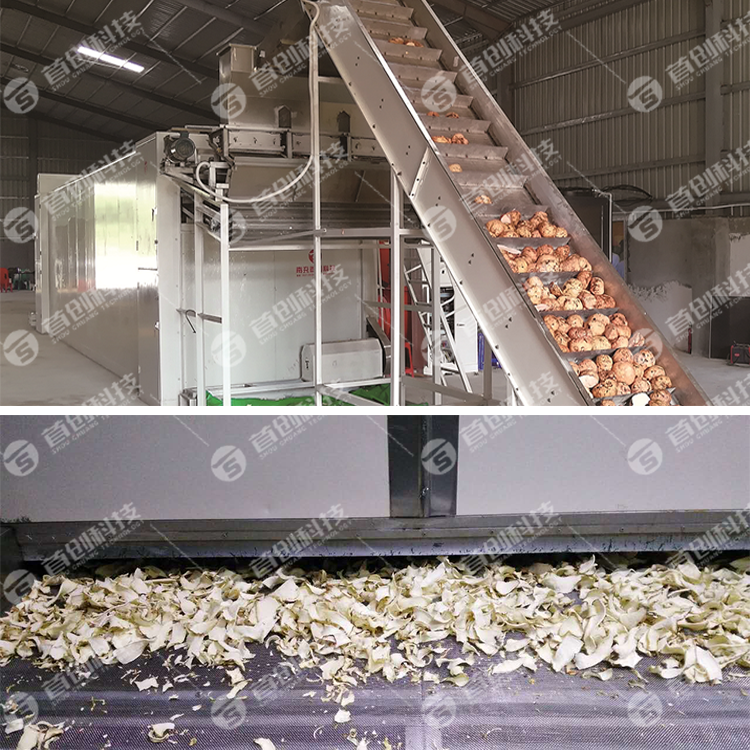 Konjak Chip dryer machine fruits vegetables drying Konjac Dry Machine Energy-saving Konjac Dryer