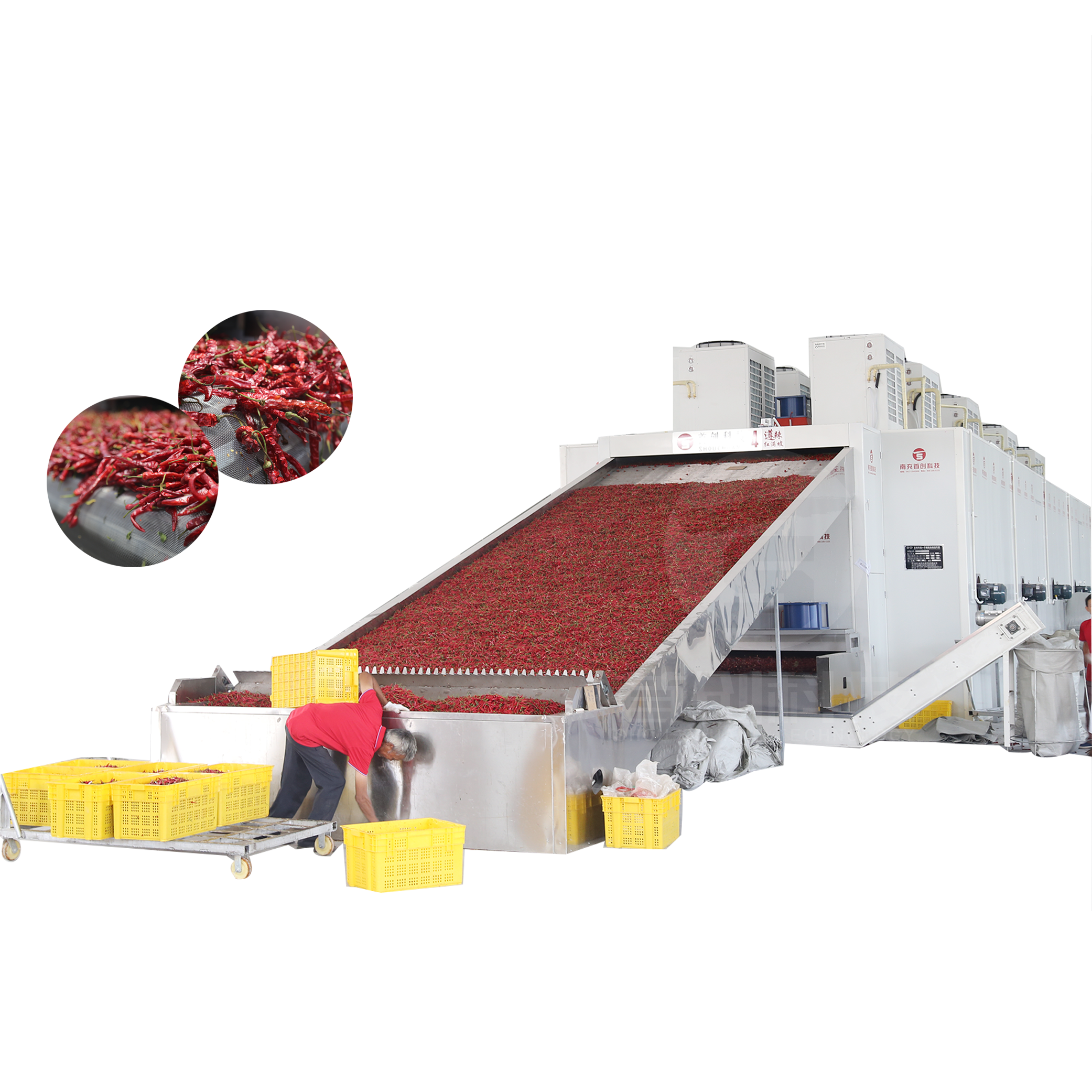 Dried red bell pepper dryer hot air continuous dynamic system circulation chilies drying machine