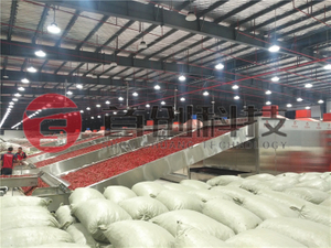 Spices Drying Machine 