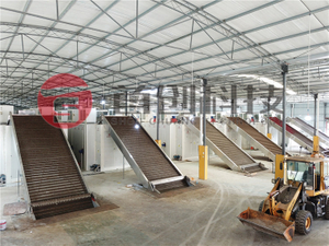 Mesh Belt Dryer
