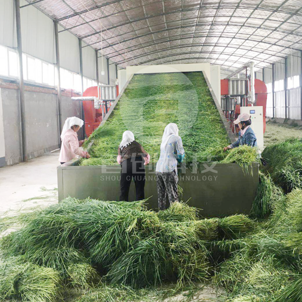 New technology machine for processing alfalfa hay dry grass mesh belt