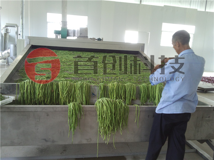 Cowpea Drying Production Line