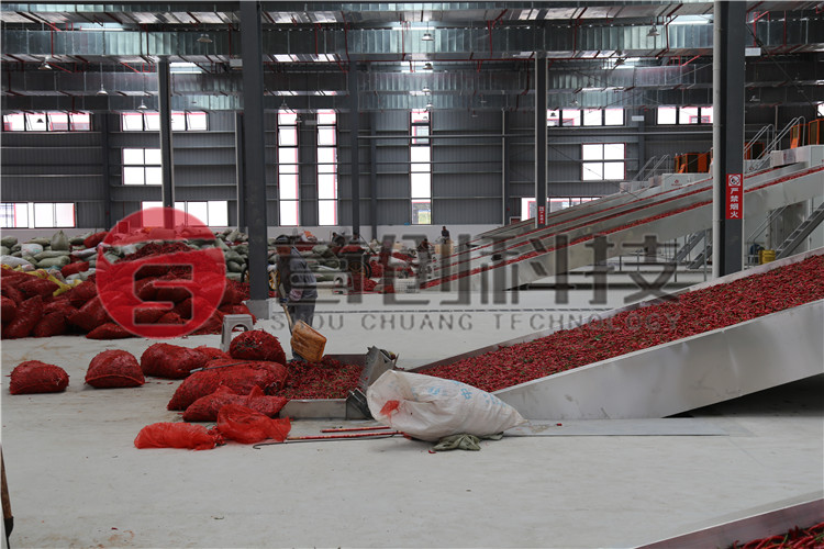 Chili Drying Machine Manufacturer