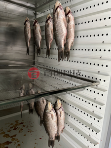 Seafish Drying Machine