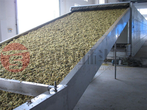 Chrysanthemum Mesh Belt Dryer
