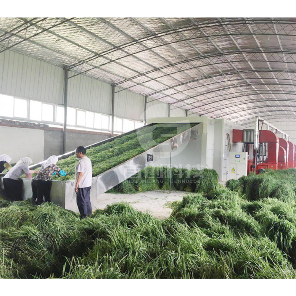 New technology machine for processing alfalfa hay dry grass mesh belt dryer